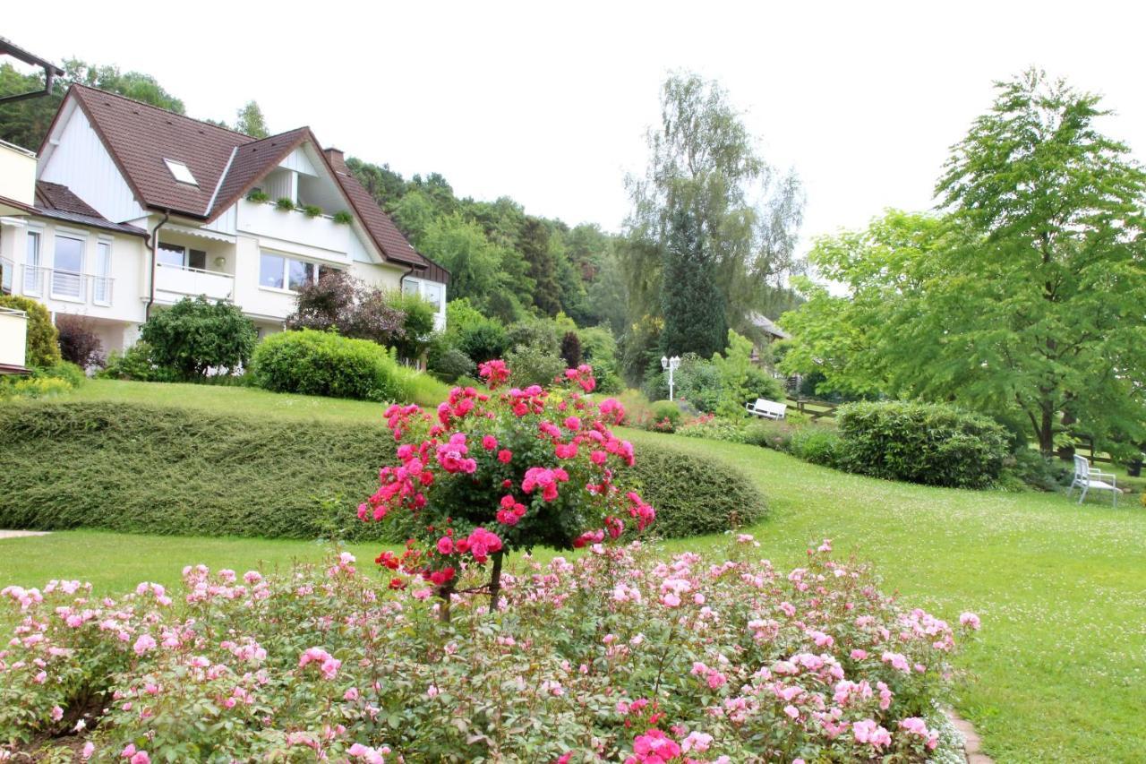 Appartement Haus Am Steinberg à Bad Driburg Extérieur photo